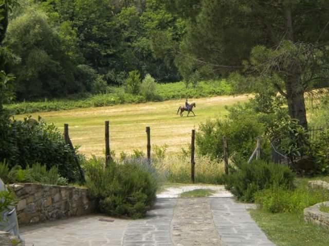 La Gufaia - Holiday House With Private Pool Near Florence Carmignano Exterior photo